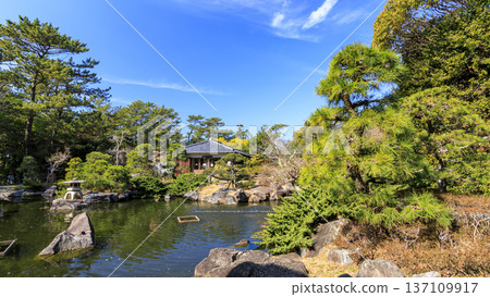 Early spring at Hayama Shiosai Park Early spring at Hayama Shiosai Park 137109917