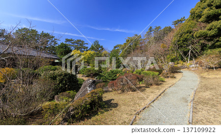 Early spring at Hayama Shiosai Park Early spring at Hayama Shiosai Park 137109922
