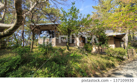 葉山潮騷公園的初春 葉山潮騷公園的初春 137109930
