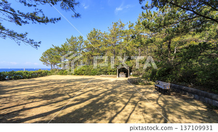 葉山潮騷公園的初春 葉山潮騷公園的初春 137109931