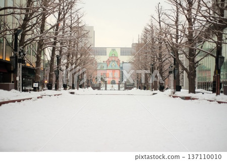 北海道舊政府辦公大樓（紅磚大樓）被雪覆蓋 137110010