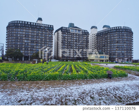 冬季的琵琶湖、雪景渚公園、琵琶湖都會度假區和早春盛開的油菜花田 137110076