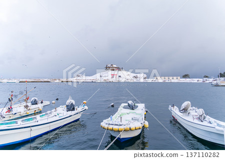 "Aomori Prefecture" Snowy scenery of Kabushima, a breeding ground for sea lions, Hachinohe City 137110282