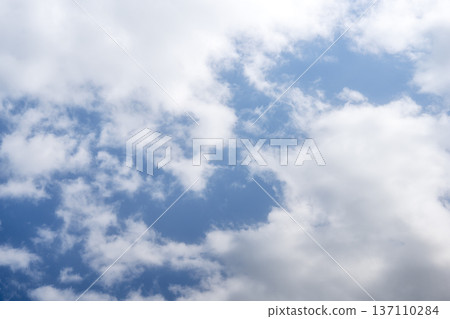 Spring sky blue sky sunny spring February image Spring sky blue sky sunny spring February image 137110284