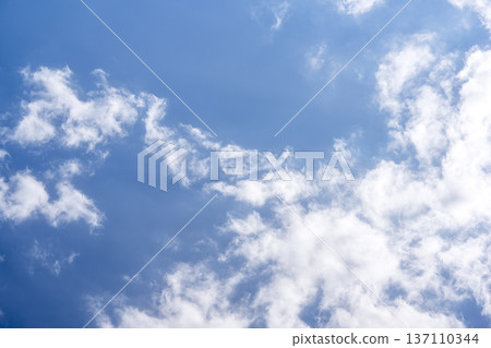 Spring sky blue sky sunny spring February image Spring sky blue sky sunny spring February image 137110344