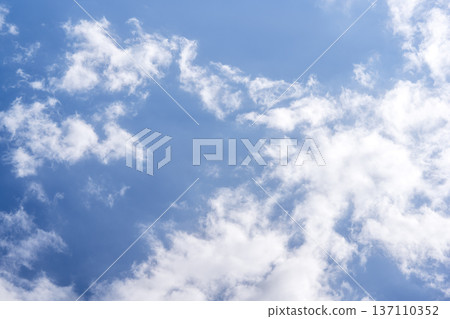 二月春日藍天,陽光明媚,景色宜人。 二月春日藍天,陽光明媚,景色宜人。 137110352