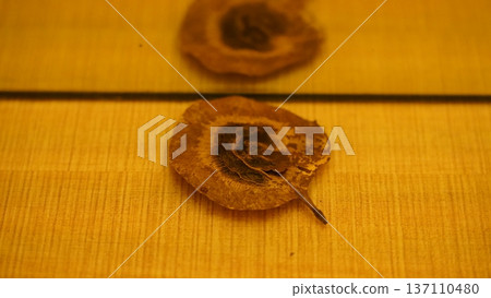 Seed Close Up with Reflection 137110480