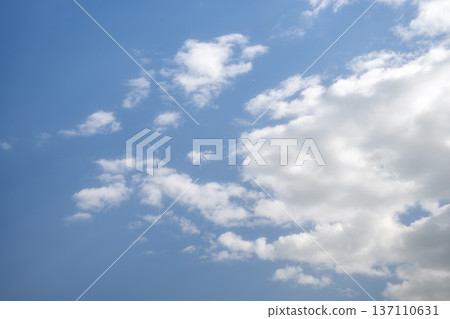 二月春日藍天，陽光明媚，景色宜人。 137110631