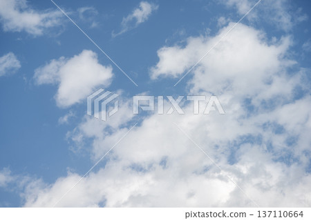 Spring sky blue sky sunny spring February image Spring sky blue sky sunny spring February image 137110664
