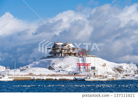 "Aomori Prefecture" Snowy scenery of Kabushima, a breeding ground for sea lions, Hachinohe City 137111021