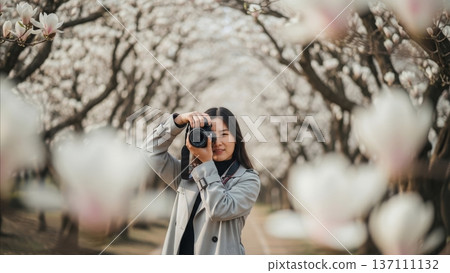 Asian woman photographer taking pictures with camera under blooming magnolia trees in spring park pathway 137111132