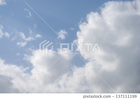 春日的天空,藍天,晴朗,二月的景象 春日的天空,藍天,晴朗,二月的景象 137111199