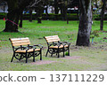 Landscape with park benches 137111229