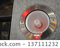 light 137111232