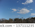 Spring blue sky and white clouds 137111235