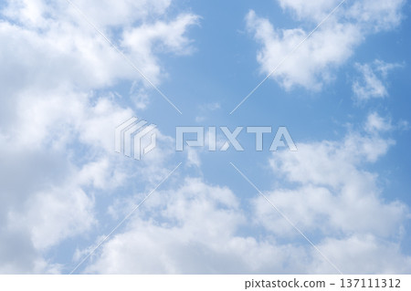 Spring sky, blue sky, sunny, February image Spring sky, blue sky, sunny, February image 137111312
