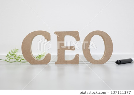 CEO字母組合。展示CEO的商業概念。 137111377