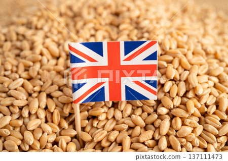 British flag on grain wheat, trade export and economy concept. British flag on grain wheat, trade export and economy concept. 137111473