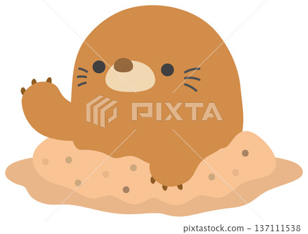 Mole illustration Mole illustration 137111538