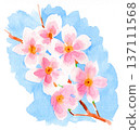 水彩櫻花 26228像素7 137111568