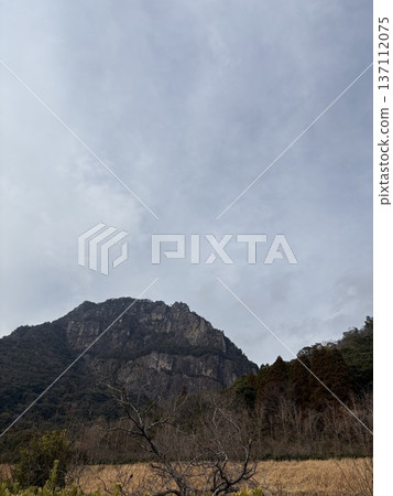A mountain covered with clouds A mountain covered with clouds 137112075