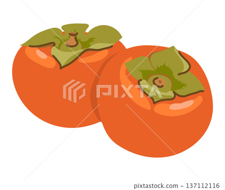 Two orange persimmons on a white background. A new illustration of a common fruit in Asia and the Middle East. Two orange persimmons on a white background. A new illustration of a common fruit in Asia and the Middle East. 137112116