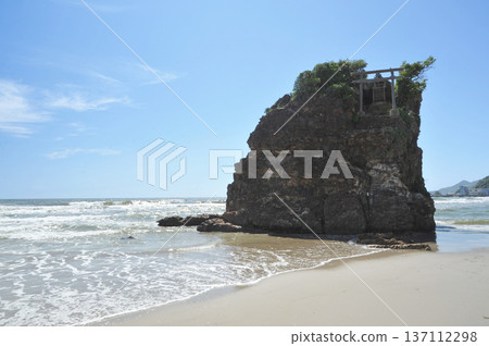 Shimane Inasha的花 Shimane Inasha的花 137112298