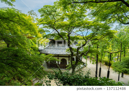 The sutra hall of Zenpo-ji Temple in Nishiyama, Kyoto. A valuable piece of architecture from the Edo period, surrounded by fresh maple leaves. The sutra hall of Zenpo-ji Temple in Nishiyama, Kyoto. A valuable piece of architecture from the Edo period, surrounded by fresh maple leaves. 137112486