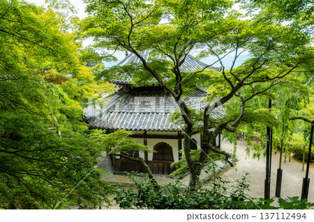 京都西山禪寶寺的經殿。這座江戶時代的珍貴建築，周圍環繞著新鮮的楓葉。 137112494