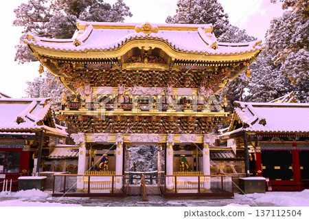 日光市、日光東照宮、雪中的陽明門 137112504