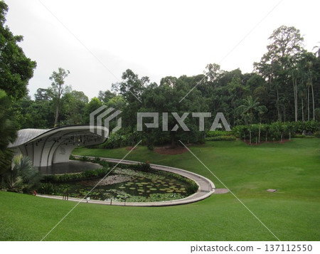 Symphony Lake at Singapore Botanic Gardens 137112550
