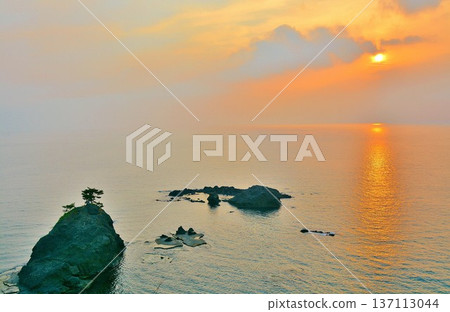 新潟縣柏崎市情人岬的夜景 137113044