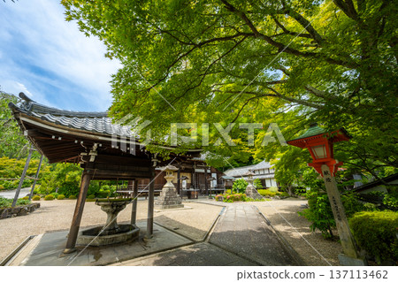 The Kaisan-do Hall of Zenpo-ji Temple in Nishiyama, Kyoto. The tranquil scenery of the temple grounds surrounded by fresh green mountains. The Kaisan-do Hall of Zenpo-ji Temple in Nishiyama, Kyoto. The tranquil scenery of the temple grounds surrounded by fresh green mountains. 137113462