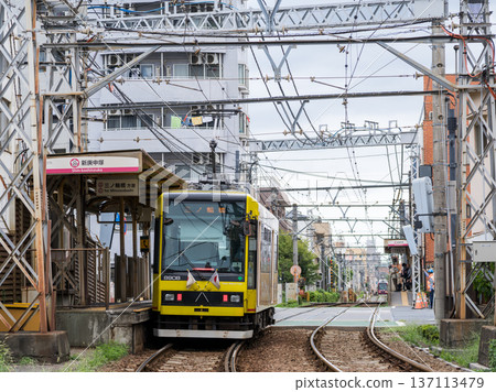 【都電荒川線】電車停靠巴士站 137113479
