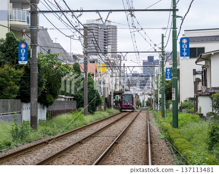 【都電荒川線】電車停靠巴士站 137113481