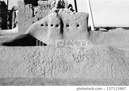 Casa Grande National Monument Black and White Film 137113967