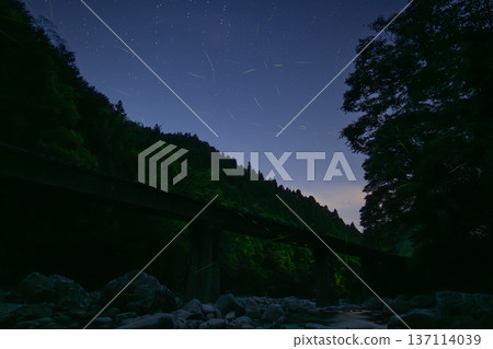 Railway bridge and summer night sky with fireflies dancing Railway bridge and summer night sky with fireflies dancing 137114039