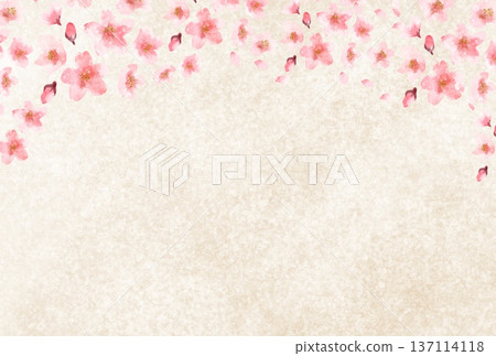 日式背景插圖，以米色日本紙為底，繪有櫻花圖案。 137114118