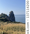 Monkey Rock on Ichinoshima Island 137114200