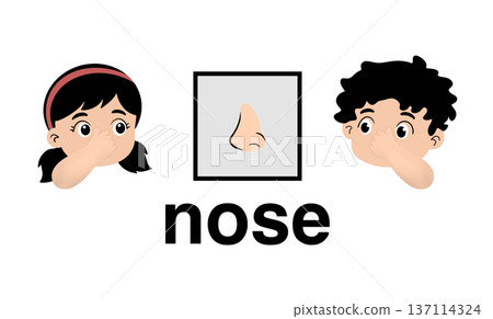 Educational cartoon illustration of human nose with cute boy and girl children pointing to their noses, body parts vocabulary for kids isolated on white background, anatomy lesson for preschool Educational cartoon illustration of human nose with cute boy and girl children pointing to their noses, body parts vocabulary for kids isolated on white background, anatomy lesson for preschool 137114324