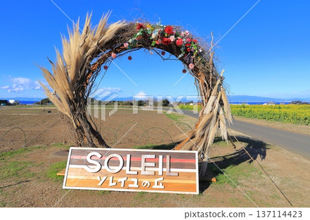 Soleil Hill Rape Field and Mt Fuji Soleil Hill Rape Field and Mt Fuji 137114423