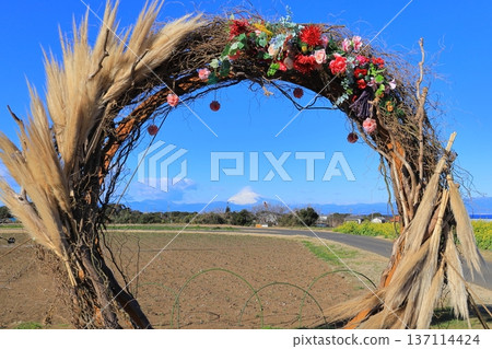 Soleil Hill Rape Field and Mt Fuji 137114424