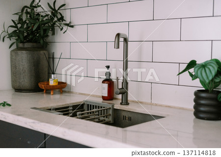 Stylish Modern Kitchen Sink Area with Elegant Home Decor and Green Plants 137114818