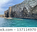 Iki Island cliffs seen from a sightseeing boat 137114970