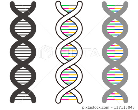 簡單DNA螺旋結構插圖素材集3 簡單DNA螺旋結構插圖素材集3 137115043