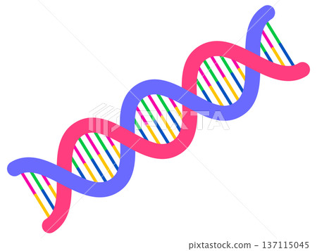 Simple DNA helix structure illustration material 2 Simple DNA helix structure illustration material 2 137115045