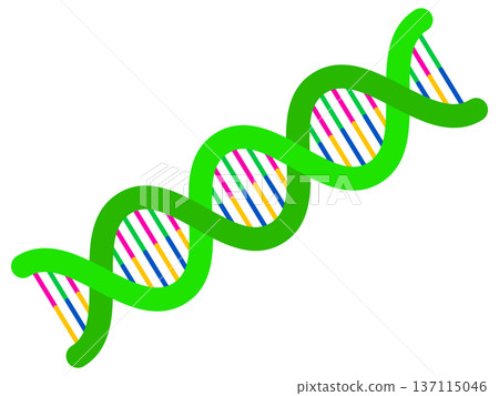 簡單DNA螺旋結構示意圖素材3 簡單DNA螺旋結構示意圖素材3 137115046