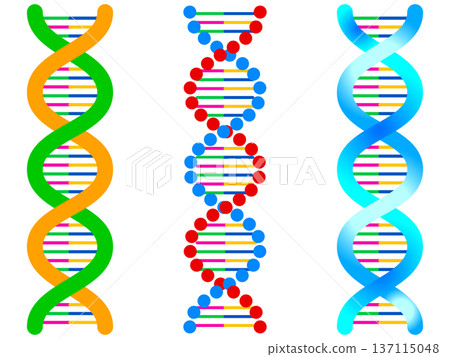簡單DNA螺旋結構插圖素材集 137115048