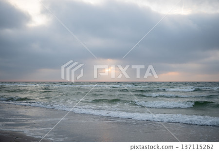Moody Baltic sea waves at sunset with dramatic cloudy sky and golden light 137115262