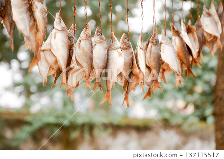 Freshly caught fish hanging in a row, drying outdoors under natural light, showcasing traditional preservation methods and the beauty of nature's bounty in a rustic setting 137115517